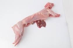 Házi nyúl -fagyasztott (1db 1-1.5kg)