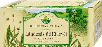 Lándzsás útifűlevél filt. tea